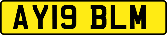 AY19BLM