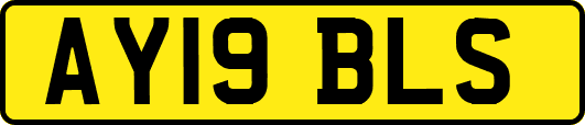 AY19BLS