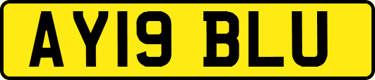 AY19BLU