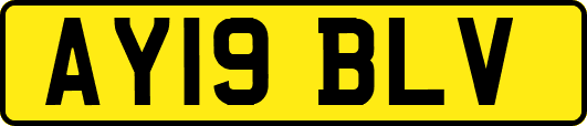 AY19BLV