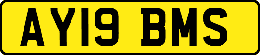 AY19BMS