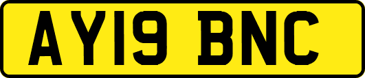 AY19BNC