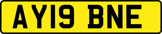 AY19BNE