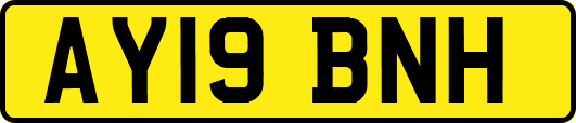 AY19BNH