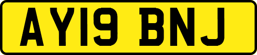 AY19BNJ