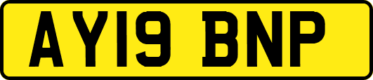 AY19BNP