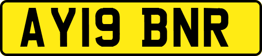 AY19BNR
