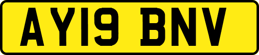 AY19BNV