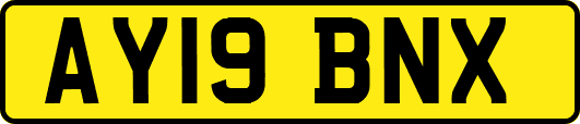 AY19BNX
