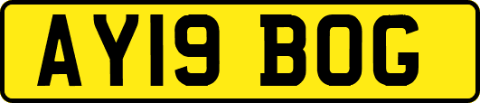 AY19BOG