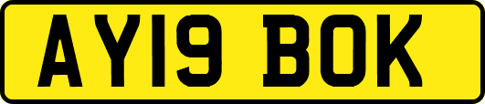 AY19BOK
