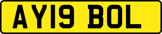 AY19BOL