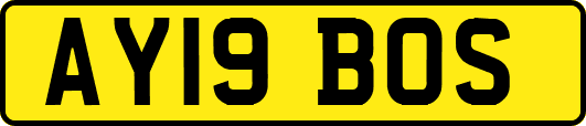 AY19BOS