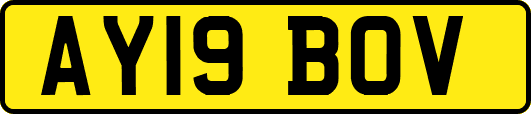 AY19BOV