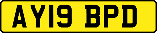 AY19BPD