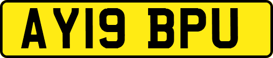 AY19BPU