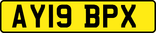 AY19BPX
