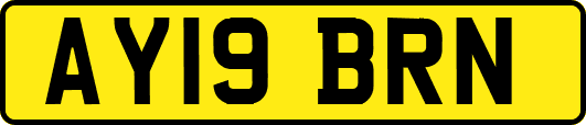 AY19BRN