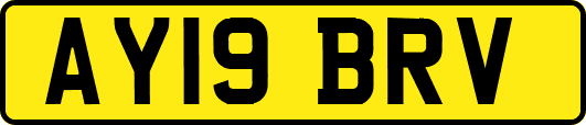 AY19BRV