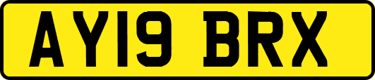 AY19BRX