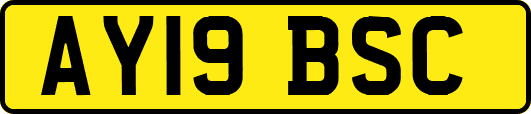 AY19BSC