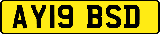 AY19BSD