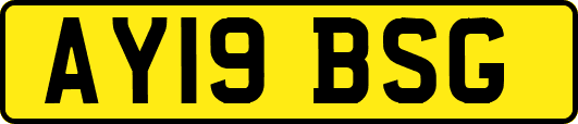 AY19BSG