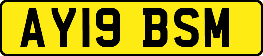 AY19BSM