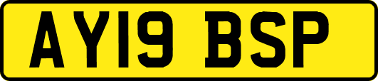 AY19BSP