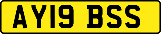 AY19BSS