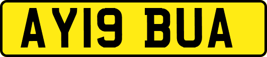 AY19BUA