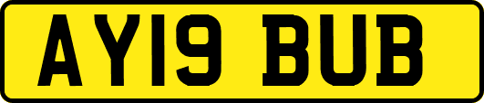 AY19BUB