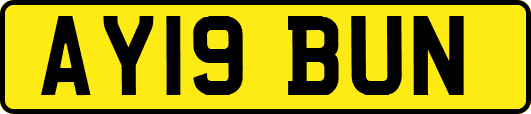 AY19BUN