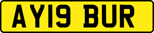 AY19BUR