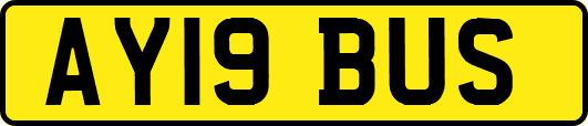 AY19BUS