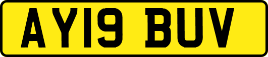 AY19BUV