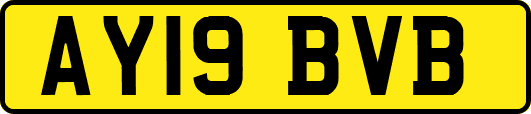 AY19BVB