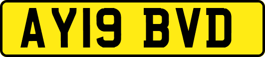 AY19BVD