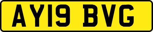 AY19BVG