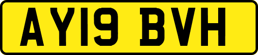 AY19BVH