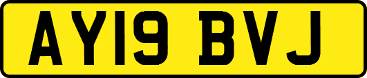 AY19BVJ