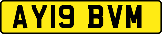 AY19BVM
