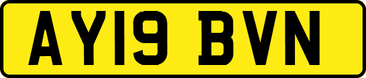 AY19BVN