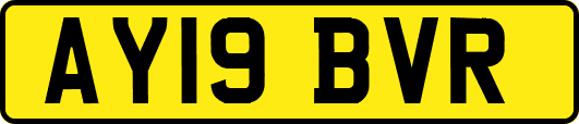 AY19BVR
