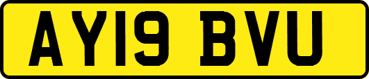 AY19BVU