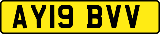AY19BVV
