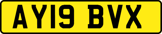 AY19BVX