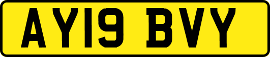 AY19BVY