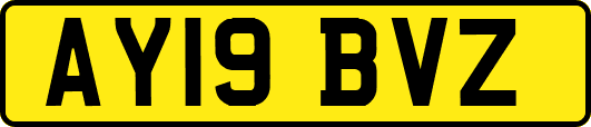 AY19BVZ