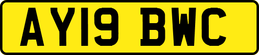 AY19BWC